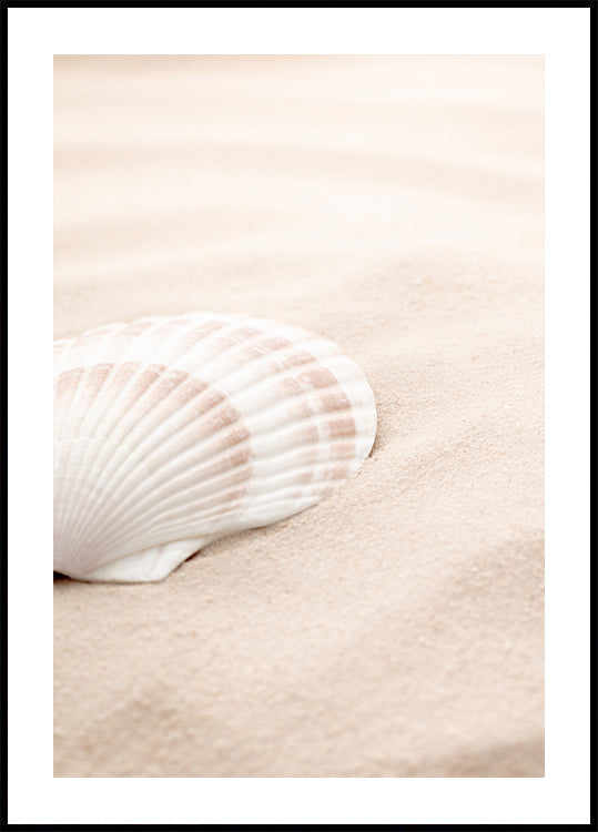 Manifesto Shell_3