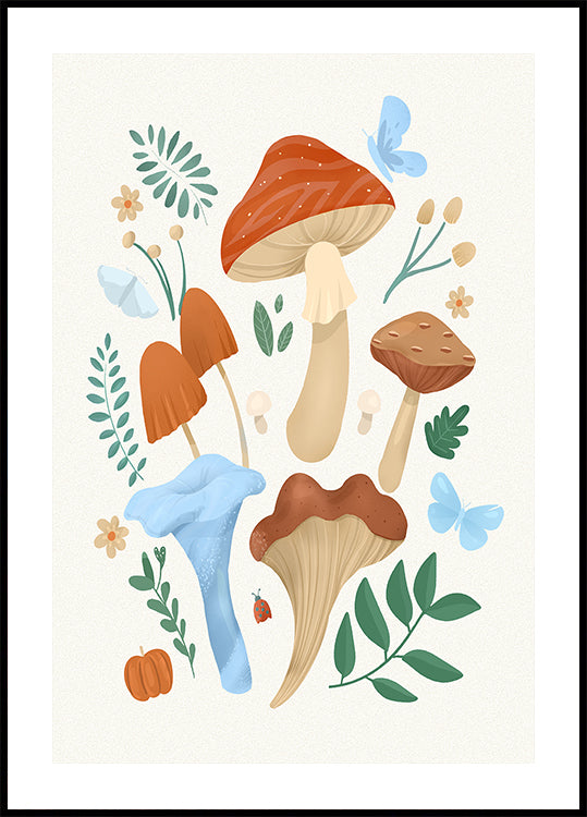 Funghi