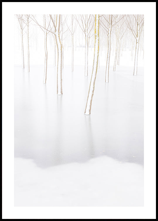 Poster di riflessione invernale