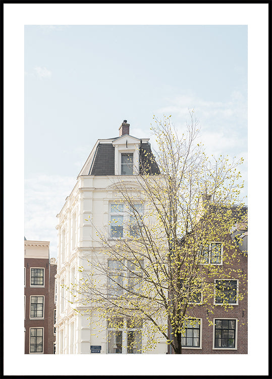 Spring In Amsterdam Plakat
