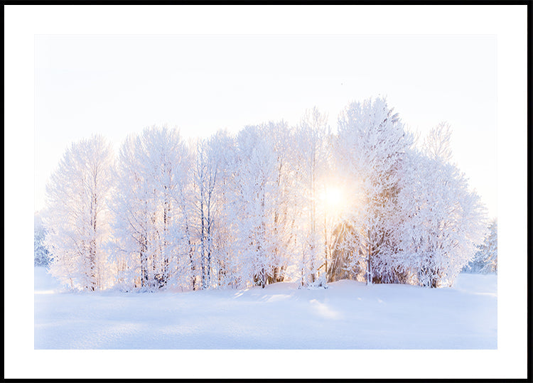 La luce ritorna Poster