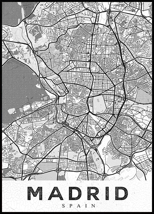 Manifesto bianco di Madrid