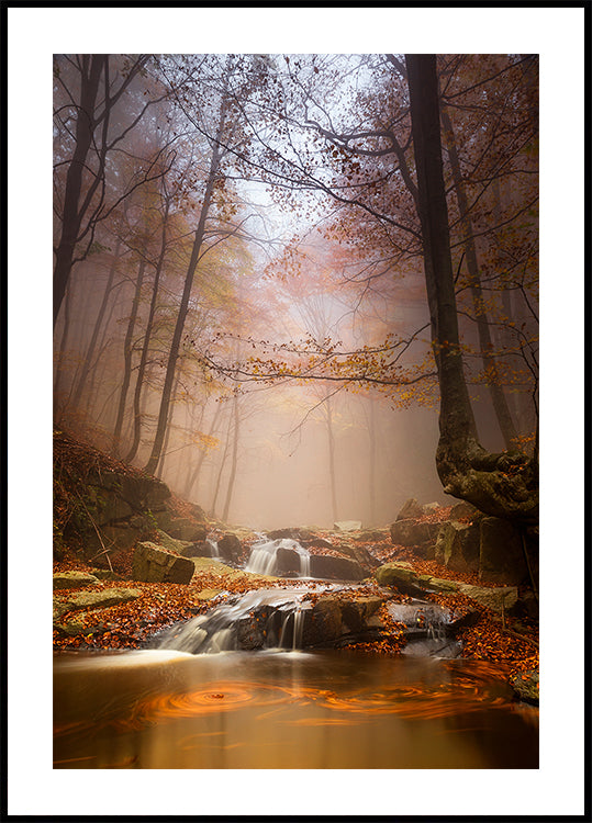 Poster di nebbia mistica