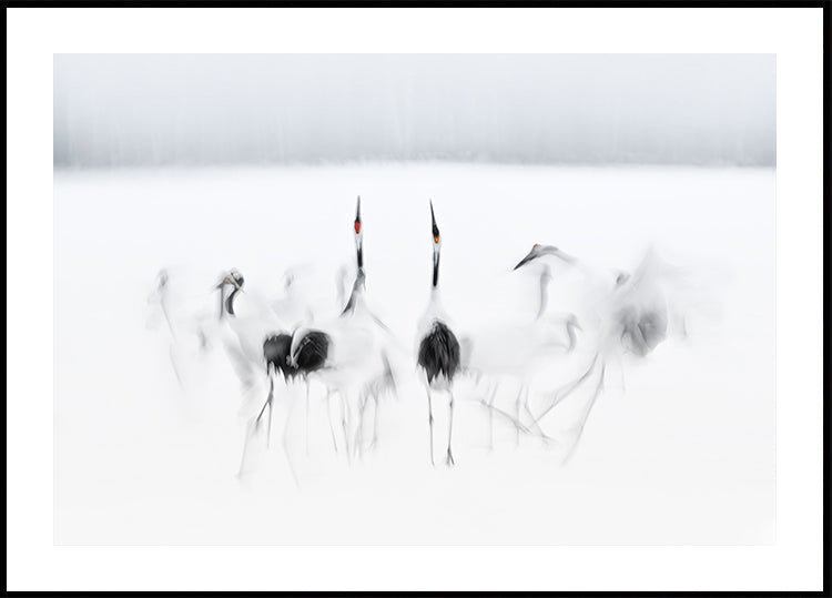 Poster di balletto calligrafico