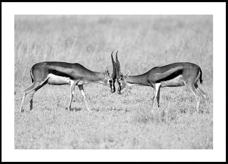 Manifesto faccia a faccia