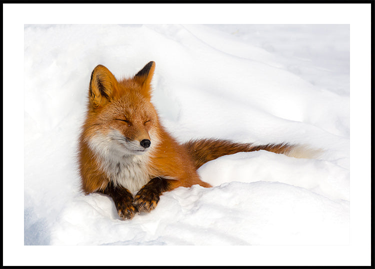 Manifesto del divertimento