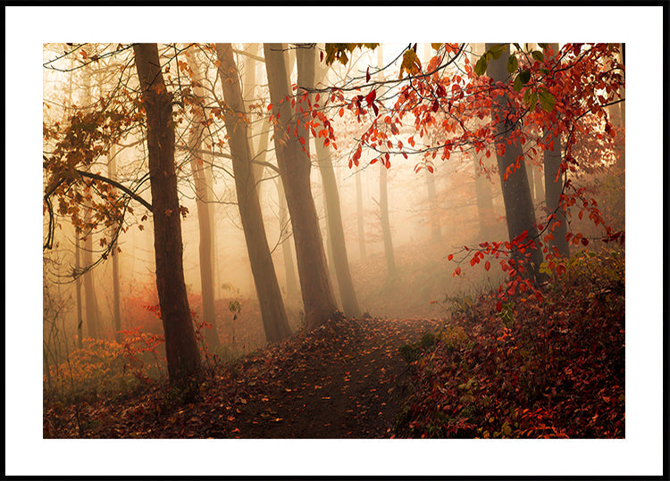 Verso la luce.