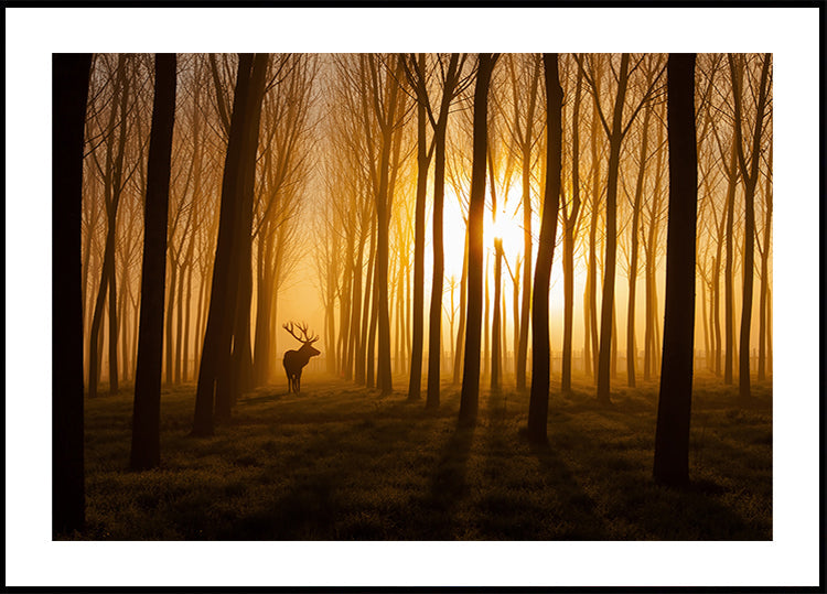 Locandina di C'era una volta