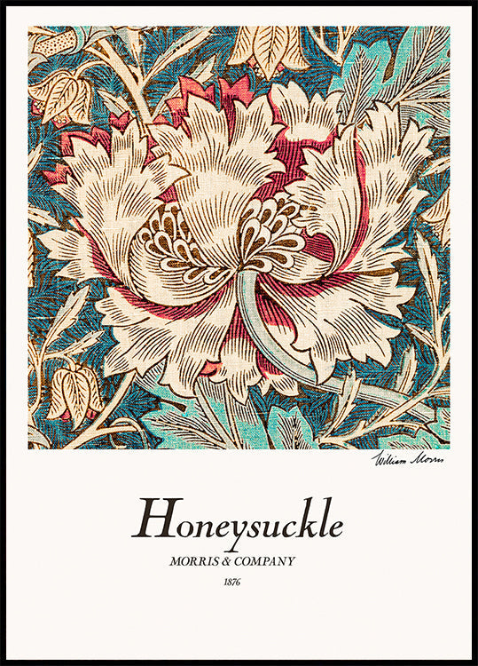 Poster di caprifoglio