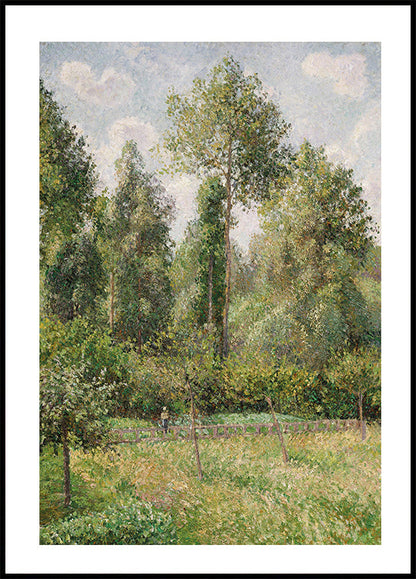 Pioppi Éragny di Camille Pissarro Poster 