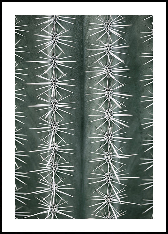 Poster verde cactus