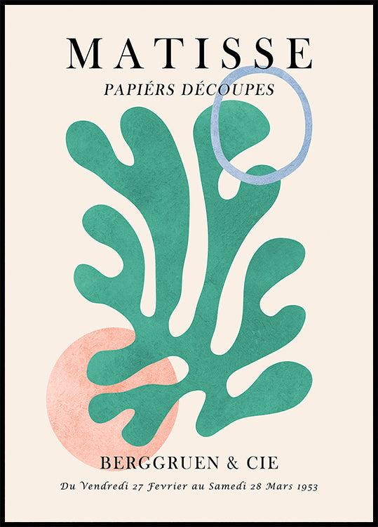 Matisse floreale 6 Poster