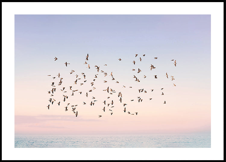 Poster del volo al tramonto