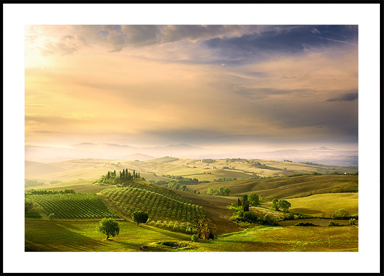L'alba del Podere Belvedere