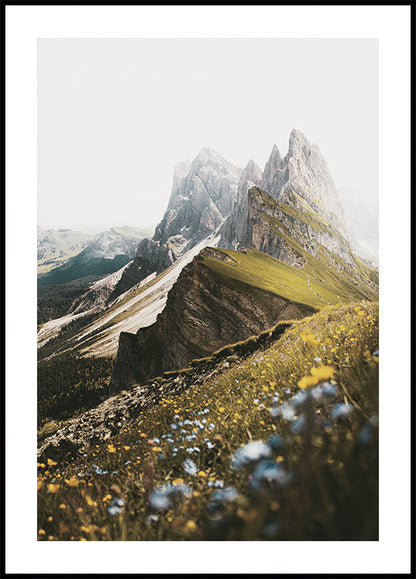 Poster di fiori alpini e picchi 