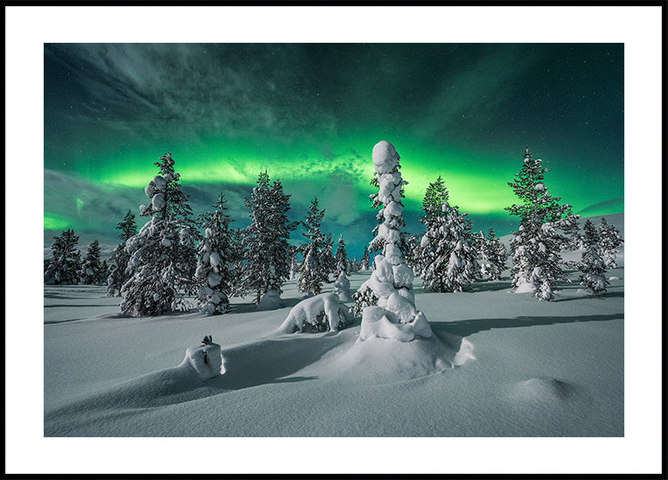 Poster della notte polare