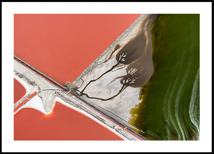 La pittura della natura