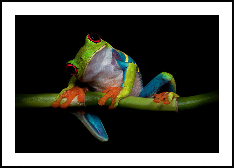 Manifesto della curiosità