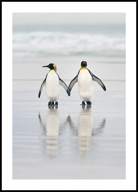 Manifesto degli amici