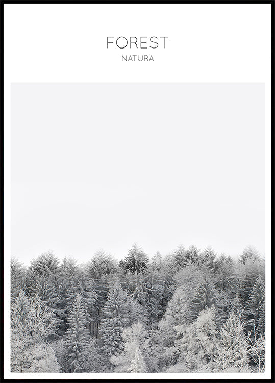 Tranquillità ghiacciata (NUOVO)