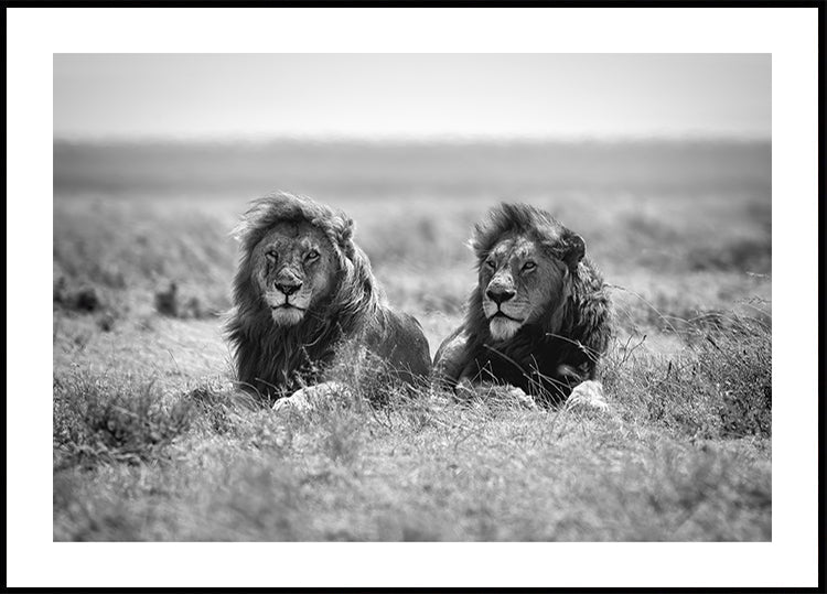 Locandina dei due re