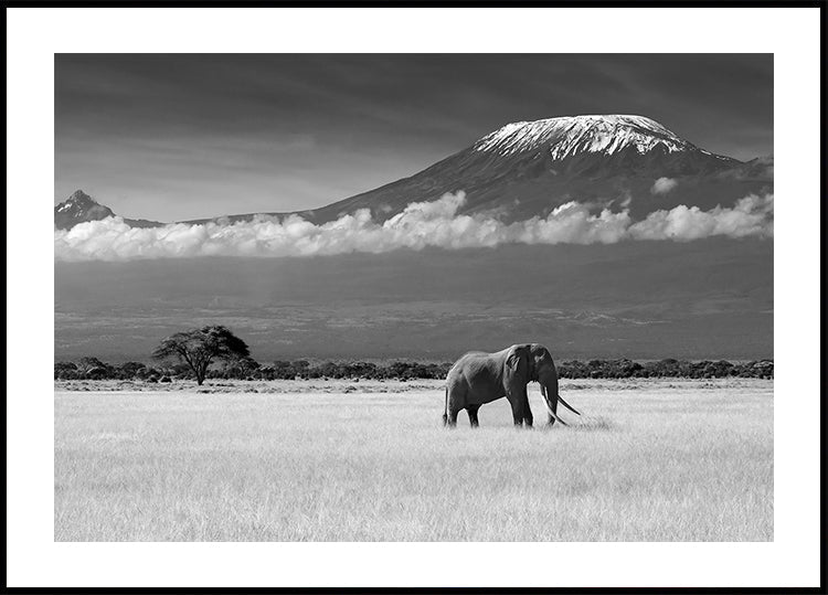 Locandina Colori perduti II