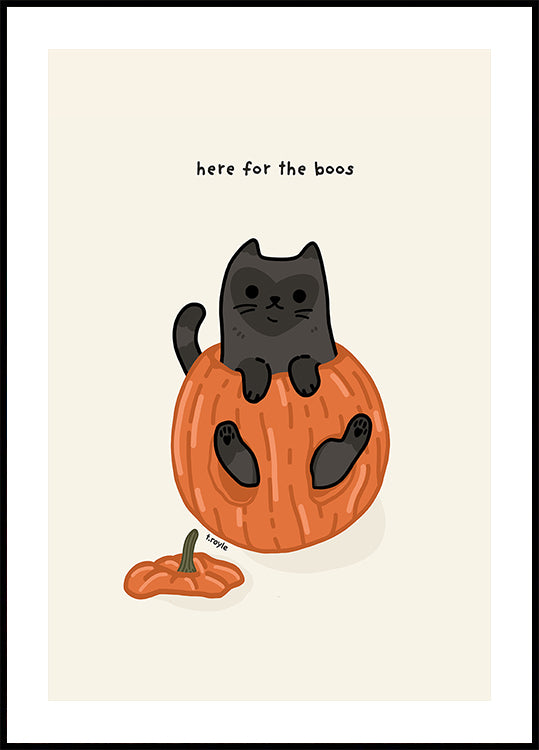 Gatto Nero Giocosamente Seduto In Una Zucca