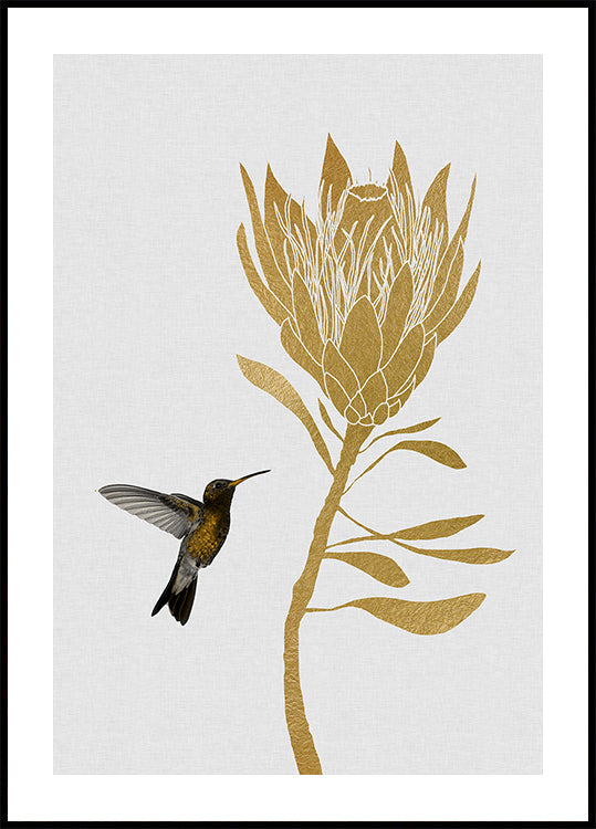 Colibrì e fiori nel poster