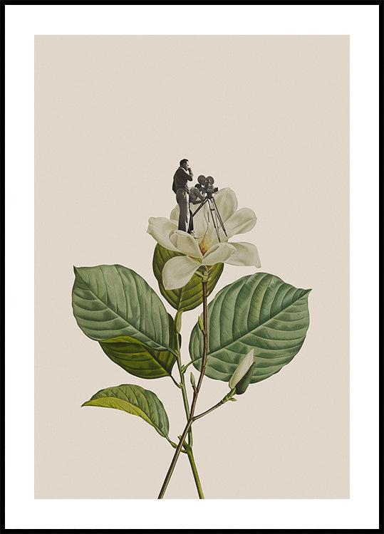 Poster di cameraman vintage botanico