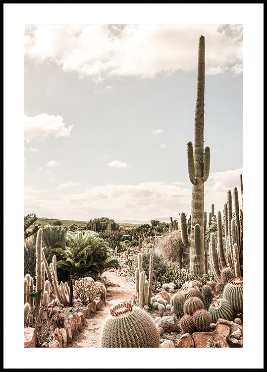 Manifesto della fattoria dei cactus