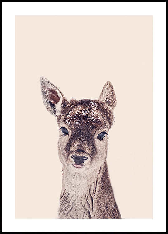 Poster beige rosato fulvo