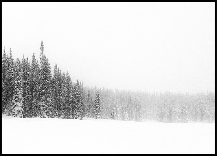 Poster La foresta per gli alberi