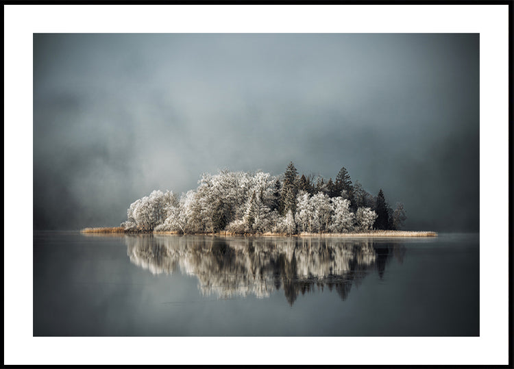 Manifesto dell'Isola Fredda