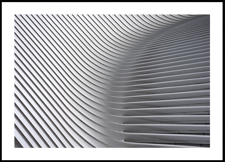 Poster Curve di Calatrava #2