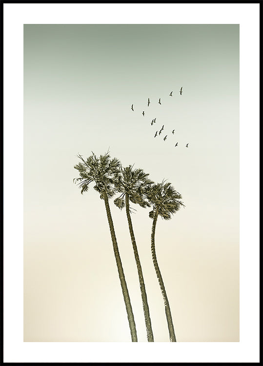 Palme vintage minimaliste e poster al tramonto