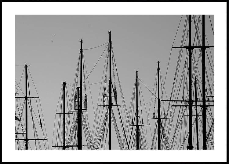 Manifesto dell'albero