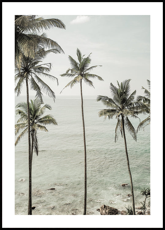 Poster di sogni tropicali