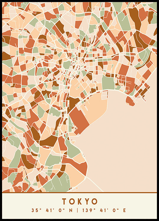 Poster Black Maps Earth Tones 88