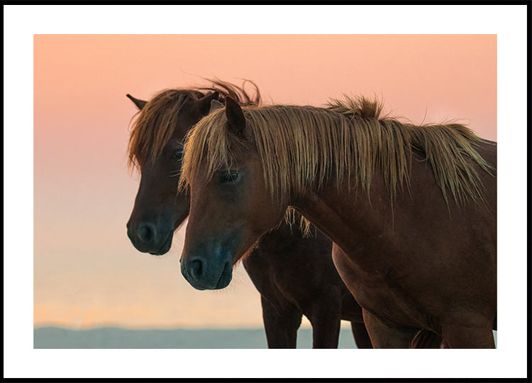 In attesa del manifesto