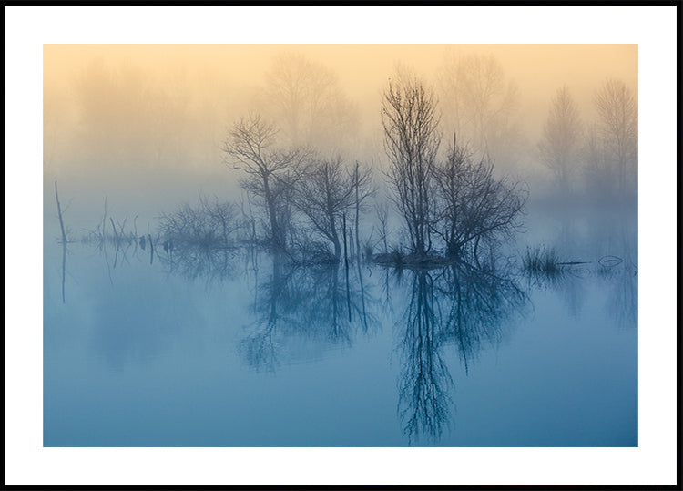 Riflessione mattutina