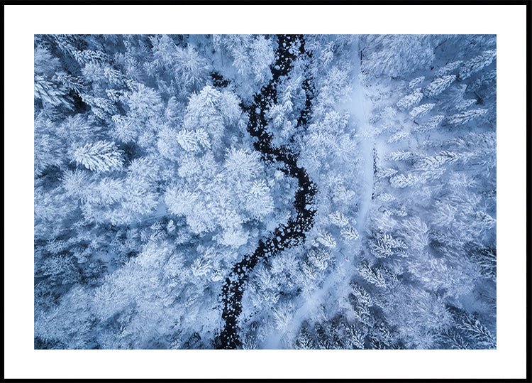 Un poster di bellezza gelida