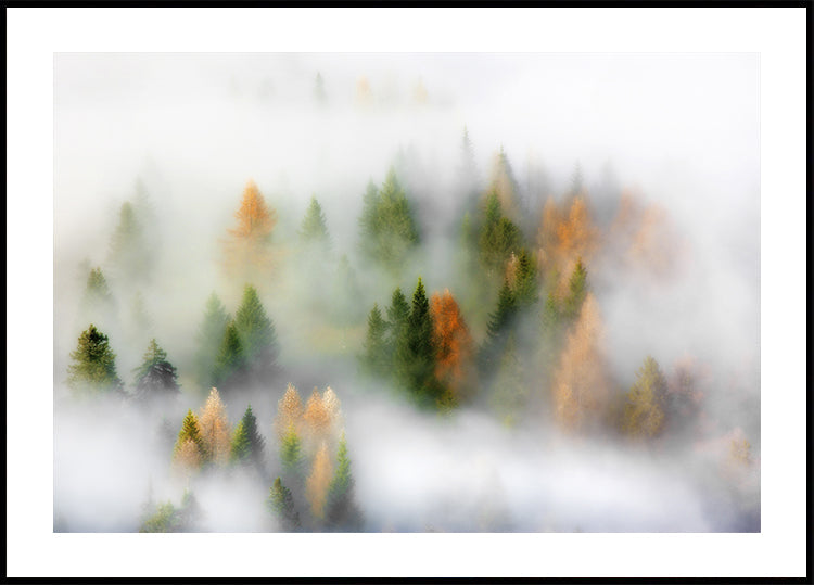 Autumn Dream Plakat