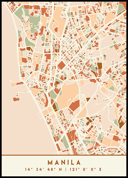 Poster Black Maps Earth Tones 46