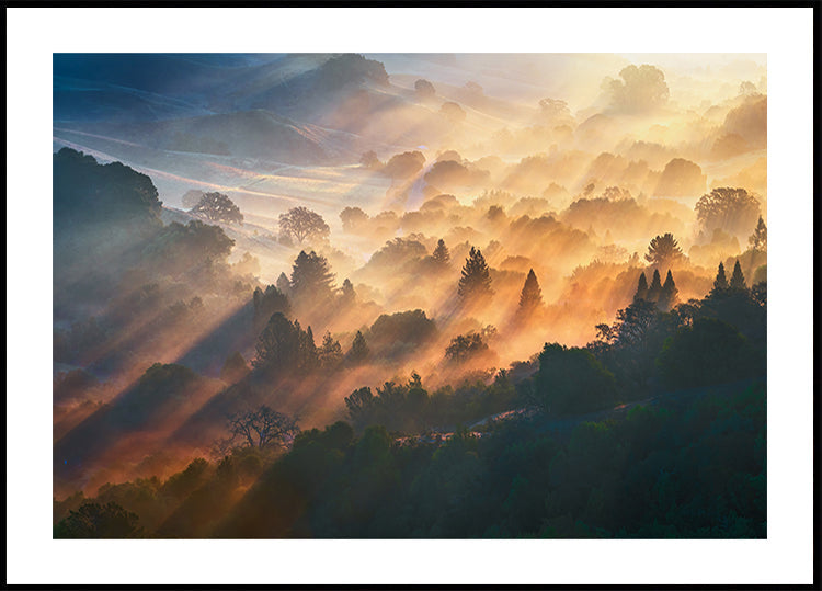 Poster della luce del mattino