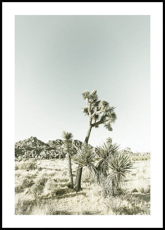 Poster di impressioni vintage del Parco nazionale di Joshua Tree