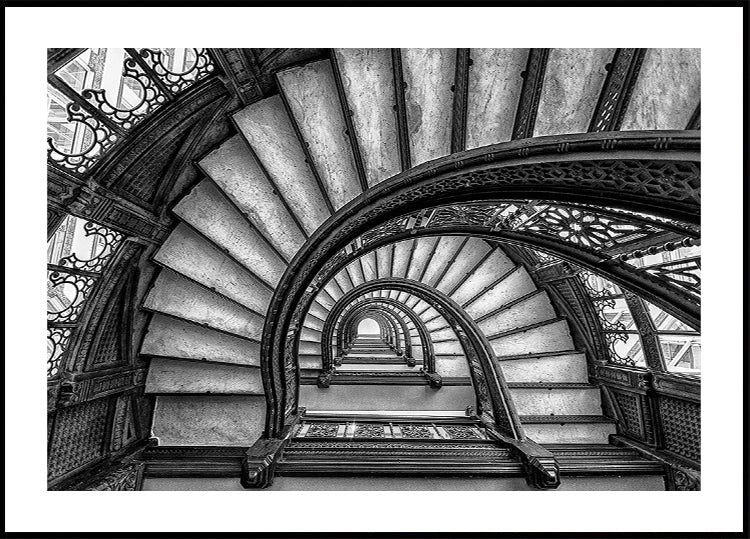 Il poster della colonia