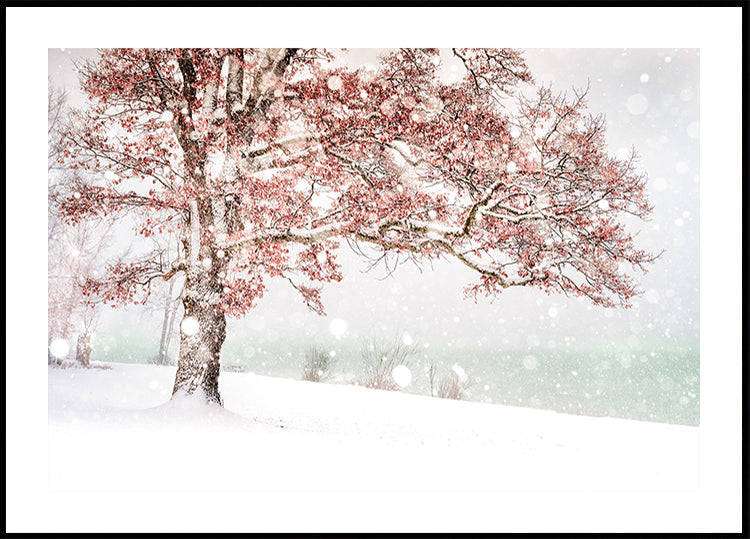 Snow at the lake Plakat