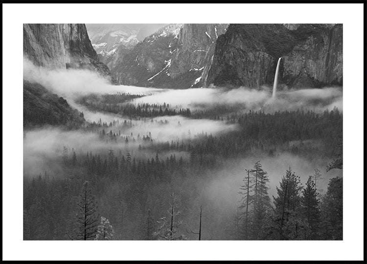 Nebbia Galleggiante Nella Valle Di Yosemite