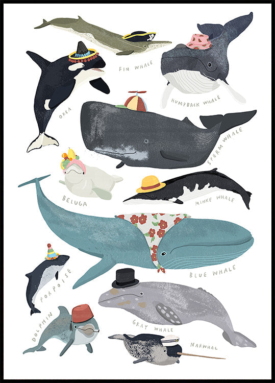 Poster di balene in cappelli