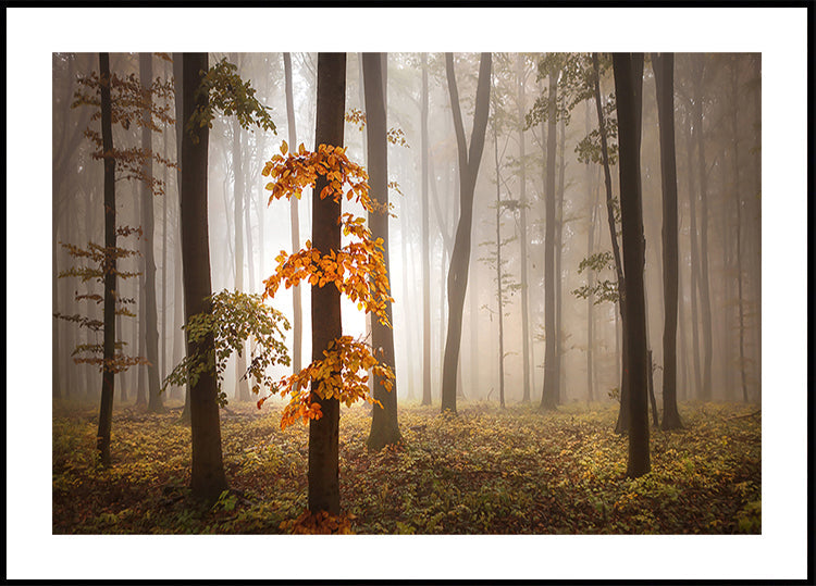 Nella luce di novembre